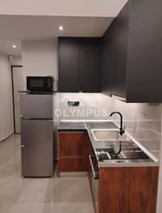 Studio 33 sqm for rent