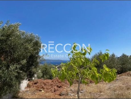 Land plot 780sqm for sale-Tamines » Akti Nireos