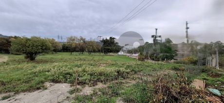 Οικόπεδο 802τ.μ. για πώληση-Βόλος » Χρυσοχοϊδη