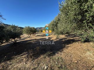 Οικόπεδο 4.221 τ.μ. για πώληση, Ν. Ρεθύμνου, Σίβριτος-thumb-3