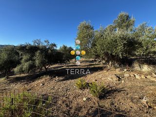 Οικόπεδο 4.221 τ.μ. για πώληση, Ν. Ρεθύμνου, Σίβριτος-thumb-2