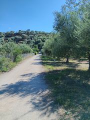 Μονοκατοικία 328 τ.μ. για πώληση, Μεσσηνία, Μεσσήνη-thumb-29
