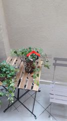 Studio / γκαρσονιέρα 25 τ.μ. για ενοικίαση, Θεσσαλονίκη - Κέντρο, Βαρδάρης-thumb-18