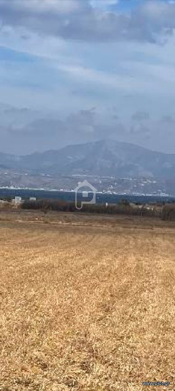 Αγροτεμάχια 5.384 τ.μ. προς πώληση, Μάρμαρα Πάρου