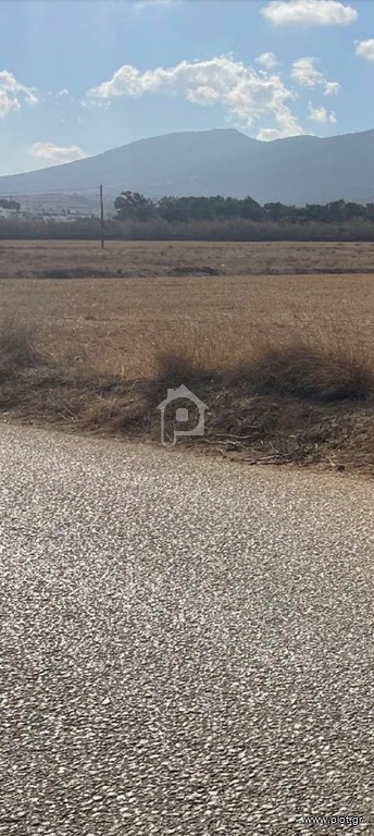 Αγροτεμάχια 5.384 τ.μ. προς πώληση, Μάρμαρα Πάρου