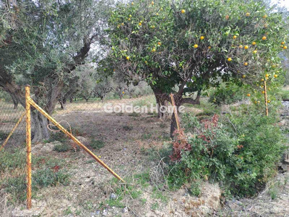 Αγροτεμάχια 800 τ.μ. προς πώληση, Λουζαίικα