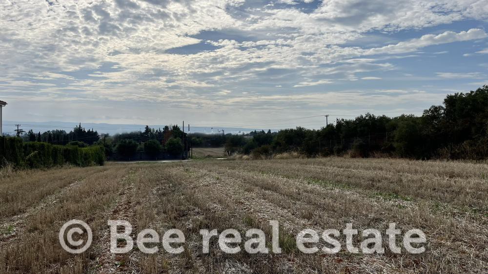 Αγροτεμάχια 3.900 τ.μ. πρός πώληση, Θεσσαλονίκη - Περιφ/Κοί Δήμοι, Πανόραμα
