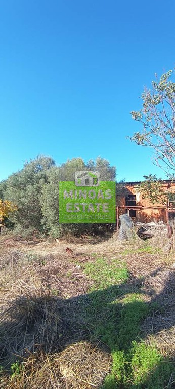 Οικόπεδο 4.402 τ.μ. προς πώληση, Βαμβακόπουλο