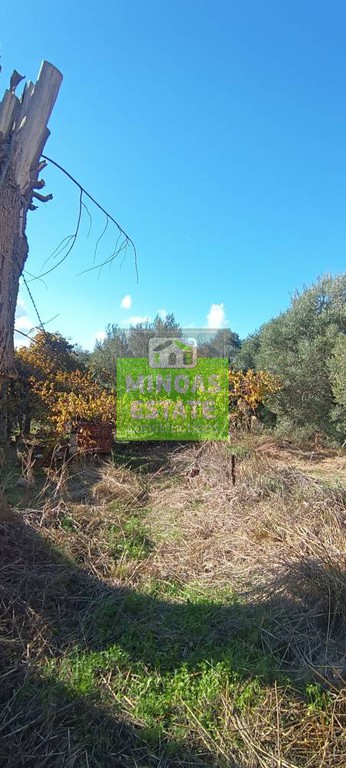 Οικόπεδο 4.402 τ.μ. προς πώληση, Βαμβακόπουλο