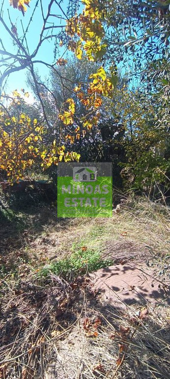 Οικόπεδο 4.402 τ.μ. προς πώληση, Βαμβακόπουλο
