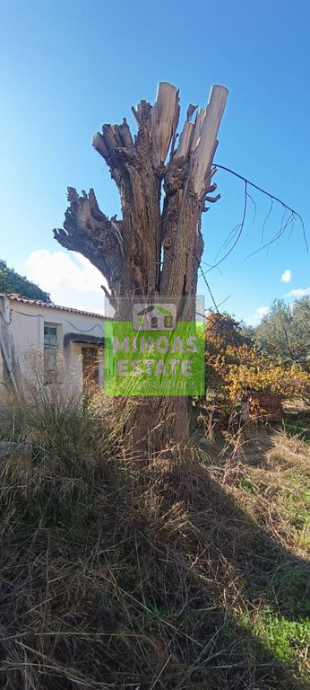 Οικόπεδο 4.402 τ.μ. προς πώληση, Βαμβακόπουλο