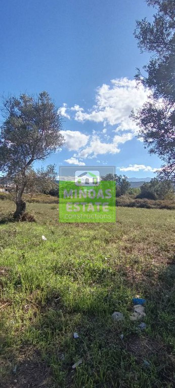 Οικόπεδο 734 τ.μ. προς πώληση, Μετόχι Μπάρμπου