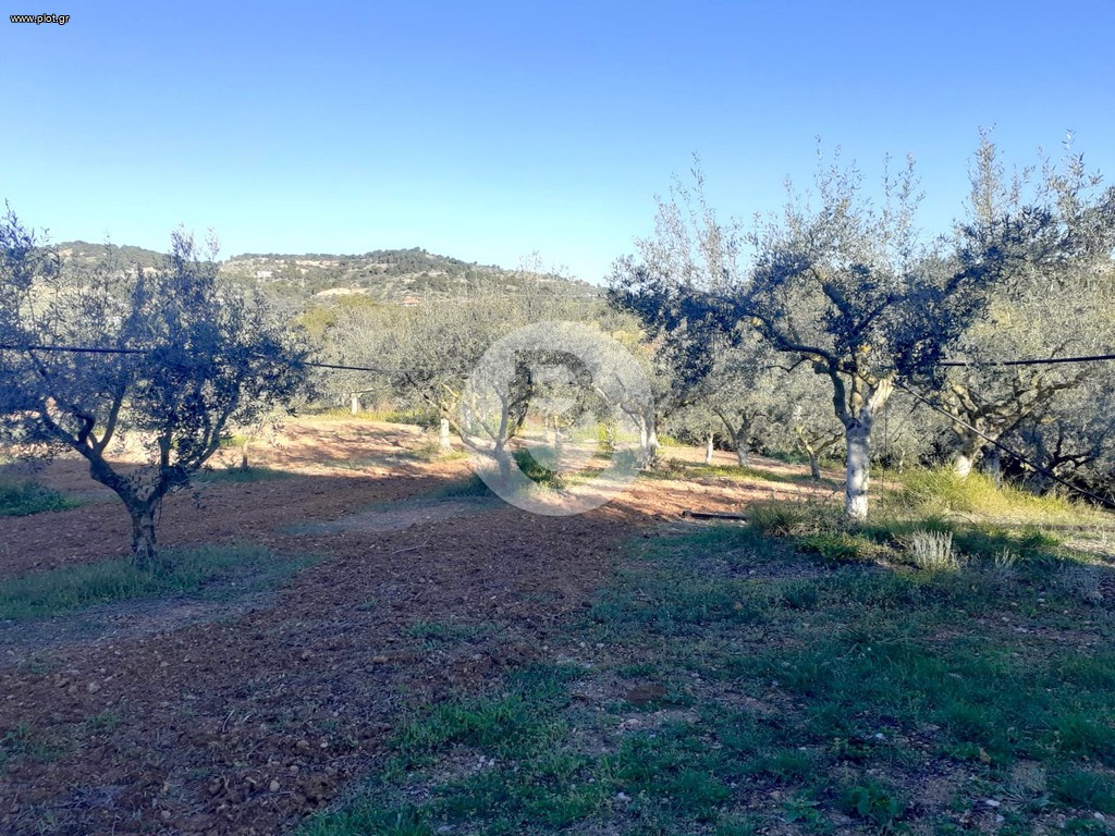 Μονοκατοικία 150 τ.μ. προς πώληση, Πορτοχέλι