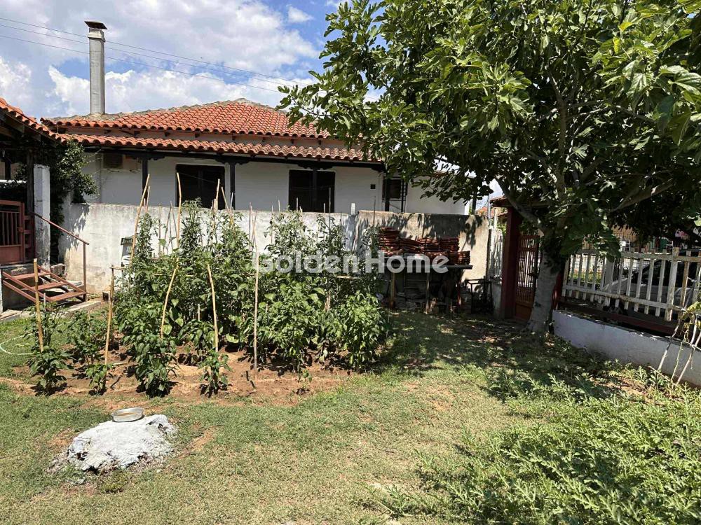 Μονοκατοικία 60 τ.μ. προς πώληση, Παραλία Νέας Τριγλίας