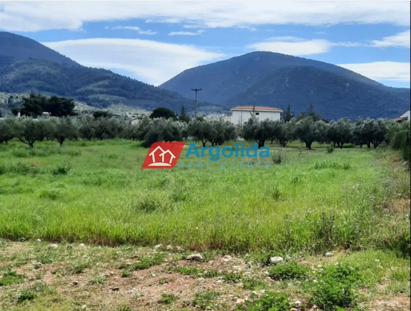 Οικόπεδο 2.100 τ.μ. προς πώληση, Αθίκια