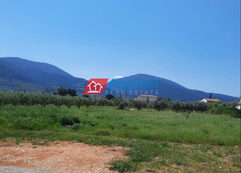 Οικόπεδο 2.100 τ.μ. προς πώληση, Αθίκια