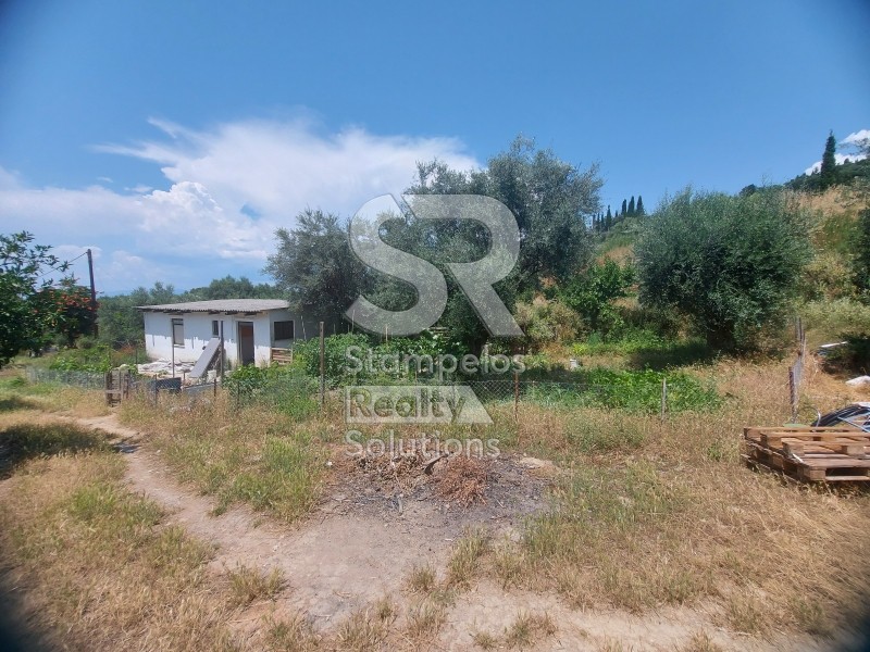 Parcel 9.000 sqm for rent, Achaia, Paralia