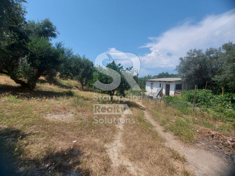 Parcel 9.000 sqm for rent, Achaia, Paralia