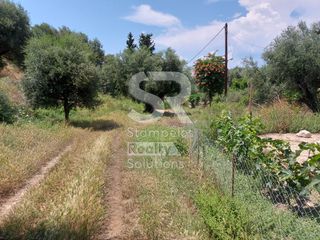 Αγροτεμάχια 9.000 τ.μ. για ενοικίαση, Αχαΐα, Παραλία-thumb-14
