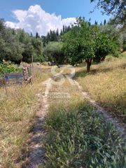 Αγροτεμάχια 9.000 τ.μ. για ενοικίαση, Αχαΐα, Παραλία-thumb-16