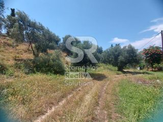 Αγροτεμάχια 9.000 τ.μ. για ενοικίαση, Αχαΐα, Παραλία-thumb-18
