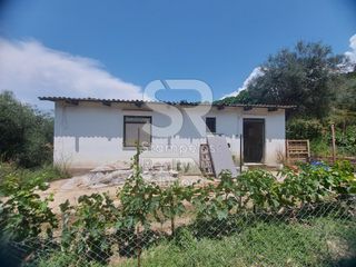 Αγροτεμάχια 9.000 τ.μ. για ενοικίαση, Αχαΐα, Παραλία-thumb-17