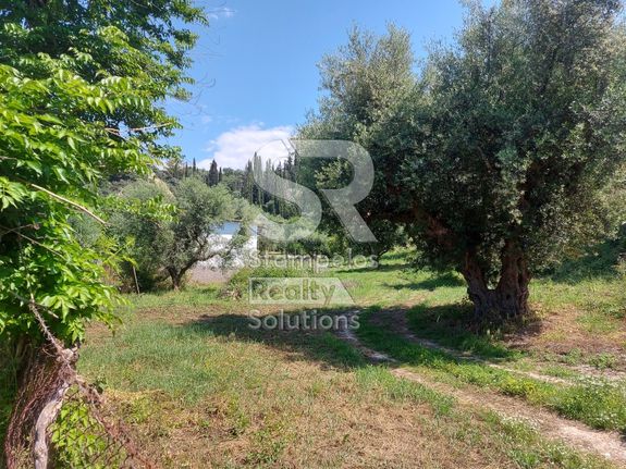Αγροτεμάχια 9.000 τ.μ. για ενοικίαση, Αχαΐα, Παραλία