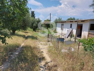 Αγροτεμάχια 9.000 τ.μ. για ενοικίαση, Αχαΐα, Παραλία-thumb-10