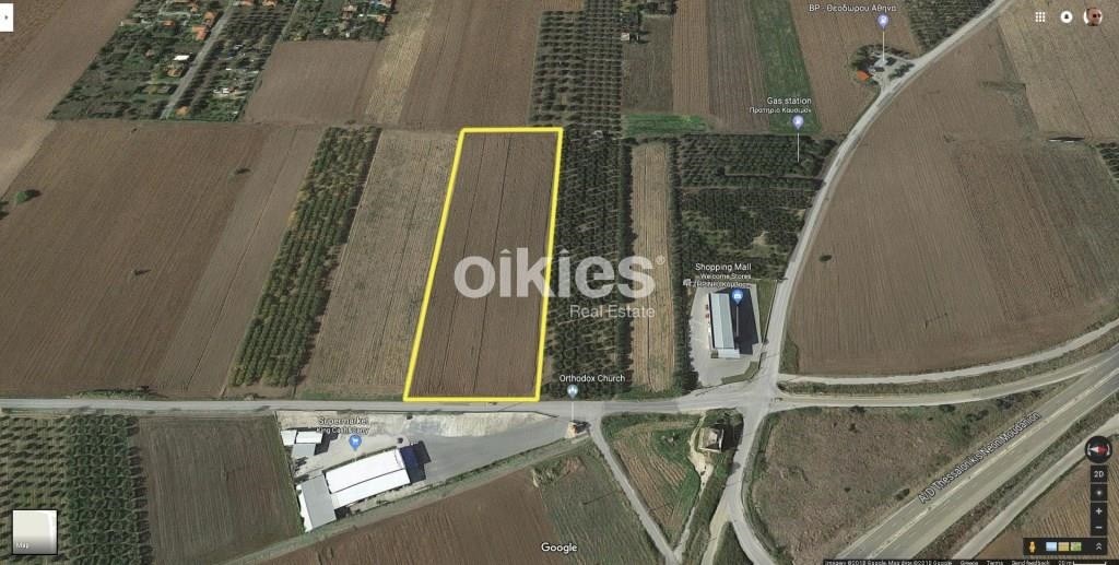 Αγροτεμάχια 16.856 τ.μ. προς πώληση, Σωζόπολη