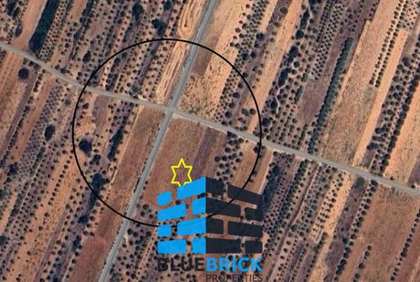 Αγροτεμάχια 6.730τ.μ. για πώληση-Παιανία