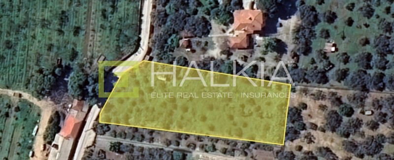 Αγροτεμάχια 2.360 τ.μ. πρός πώληση, Μαγνησία, Αρτέμιδα