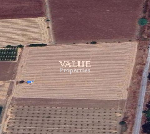 Αγροτεμάχια 15.000 τ.μ. για πώληση, Ν. Λάρισας, Κιλελέρ