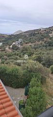 Αγροτεμάχια 3.106 τ.μ. προς πώληση, Μαριού-thumb-11