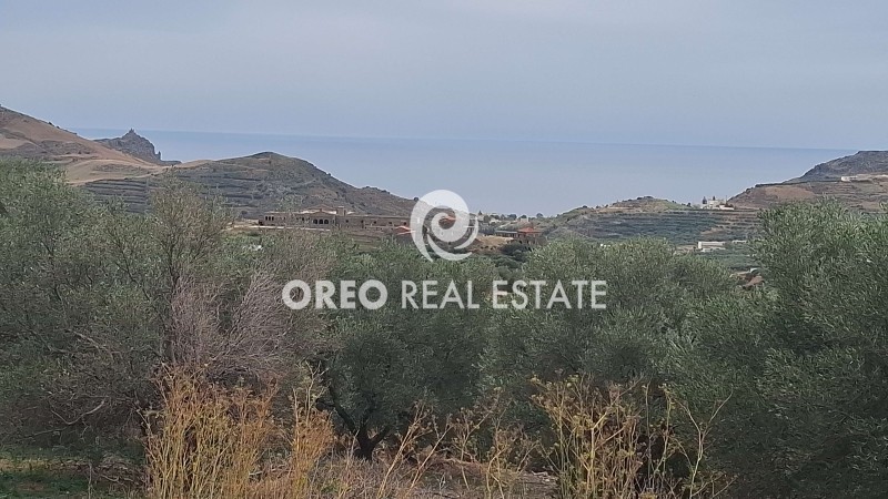 Αγροτεμάχια 3.106 τ.μ. για πώληση, Ν. Ρεθύμνου, Φοινίκας