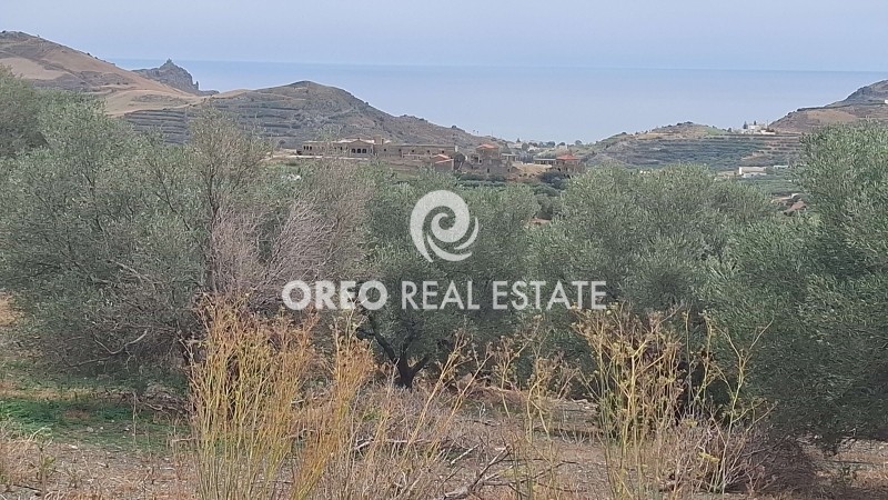 Αγροτεμάχια 3.106 τ.μ. πρός πώληση, Ν. Ρεθύμνου, Φοινίκας