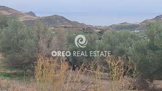 Αγροτεμάχια 3.106 τ.μ. προς πώληση, Μαριού-thumb-1