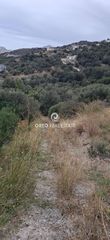 Αγροτεμάχια 3.106 τ.μ. προς πώληση, Μαριού-thumb-8