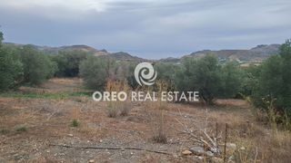Αγροτεμάχια 3.106 τ.μ. προς πώληση, Μαριού-thumb-6