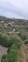 Αγροτεμάχια 3.106 τ.μ. προς πώληση, Μαριού-thumb-12