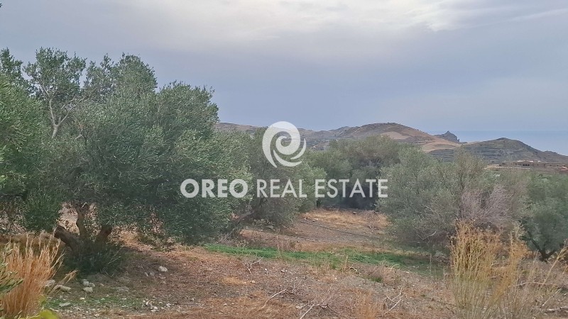 Αγροτεμάχια 3.106 τ.μ. πρός πώληση, Ν. Ρεθύμνου, Φοινίκας