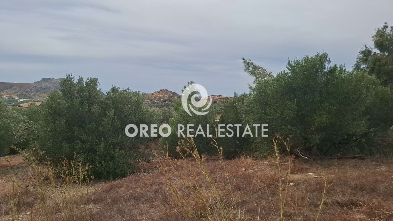 Αγροτεμάχια 3.106 τ.μ. πρός πώληση, Ν. Ρεθύμνου, Φοινίκας
