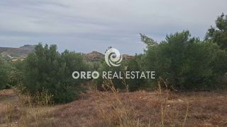 Αγροτεμάχια 3.106 τ.μ. προς πώληση, Μαριού-thumb-4