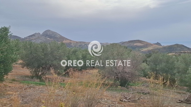 Αγροτεμάχια 3.106 τ.μ. πρός πώληση, Ν. Ρεθύμνου, Φοινίκας