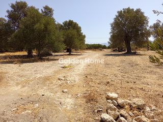 Αγροτεμάχια 1.400 τ.μ. για πώληση