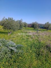 Αγροτεμάχια 750 τ.μ. για πώληση