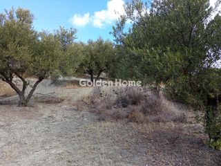 Οικόπεδο 18.000 τ.μ. για ενοικίαση