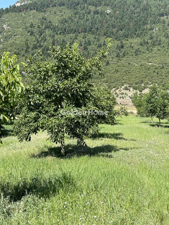 Αγροτεμάχια 17.000 τ.μ. προς πώληση, Πανόραμα Φενεού