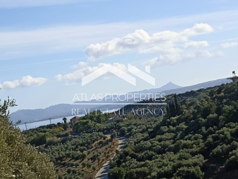 Οικόπεδο 6.900 τ.μ. προς πώληση, Σταλός