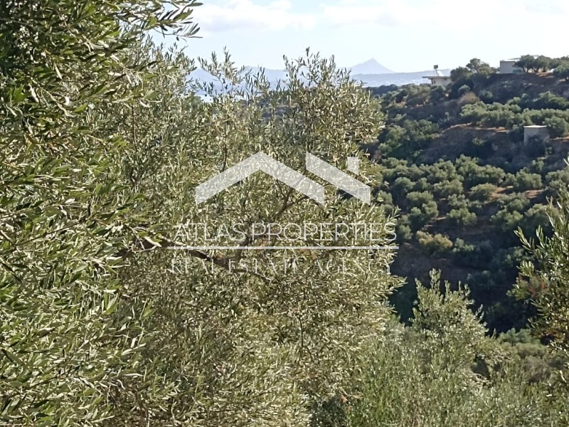 Οικόπεδο 6.900 τ.μ. προς πώληση, Σταλός