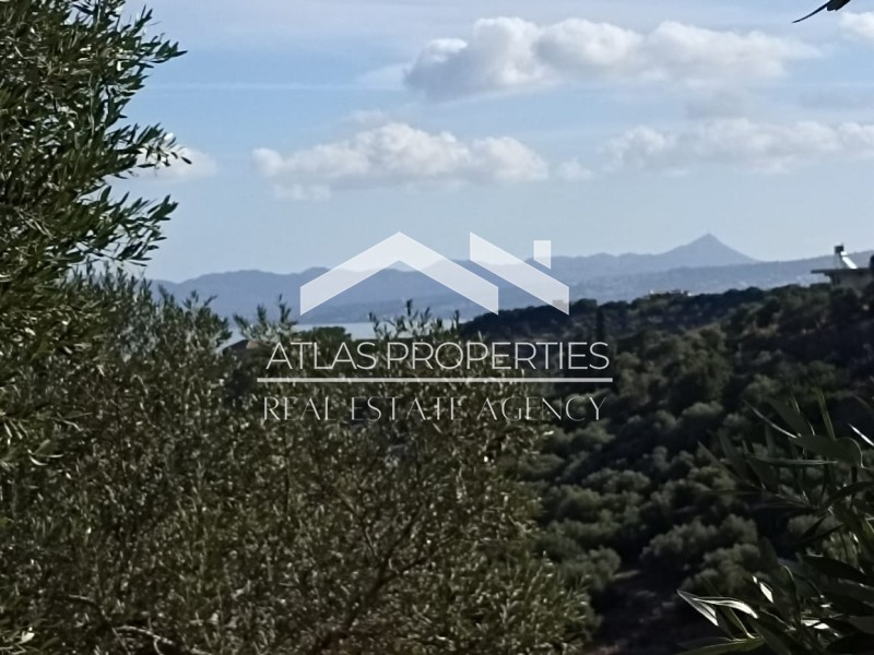 Οικόπεδο 6.900 τ.μ. προς πώληση, Σταλός